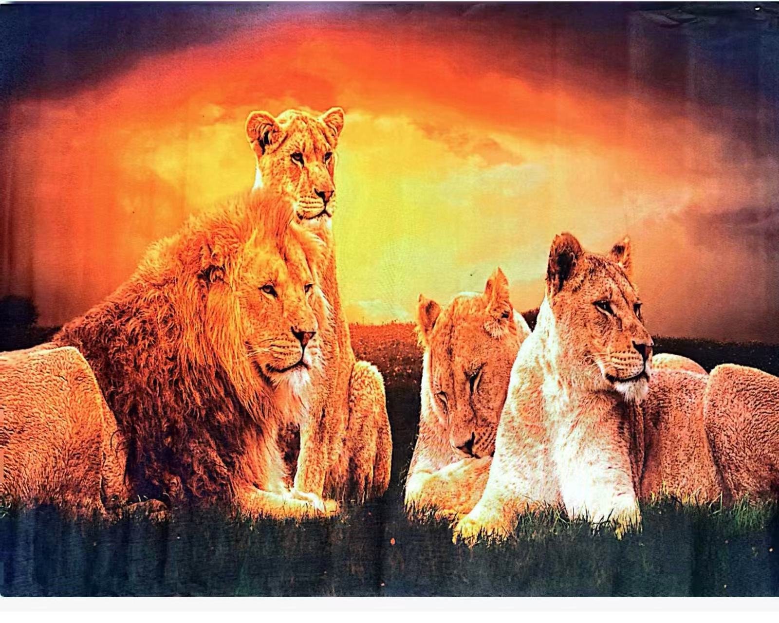 3D Floor Living Carpet -1.5x2M