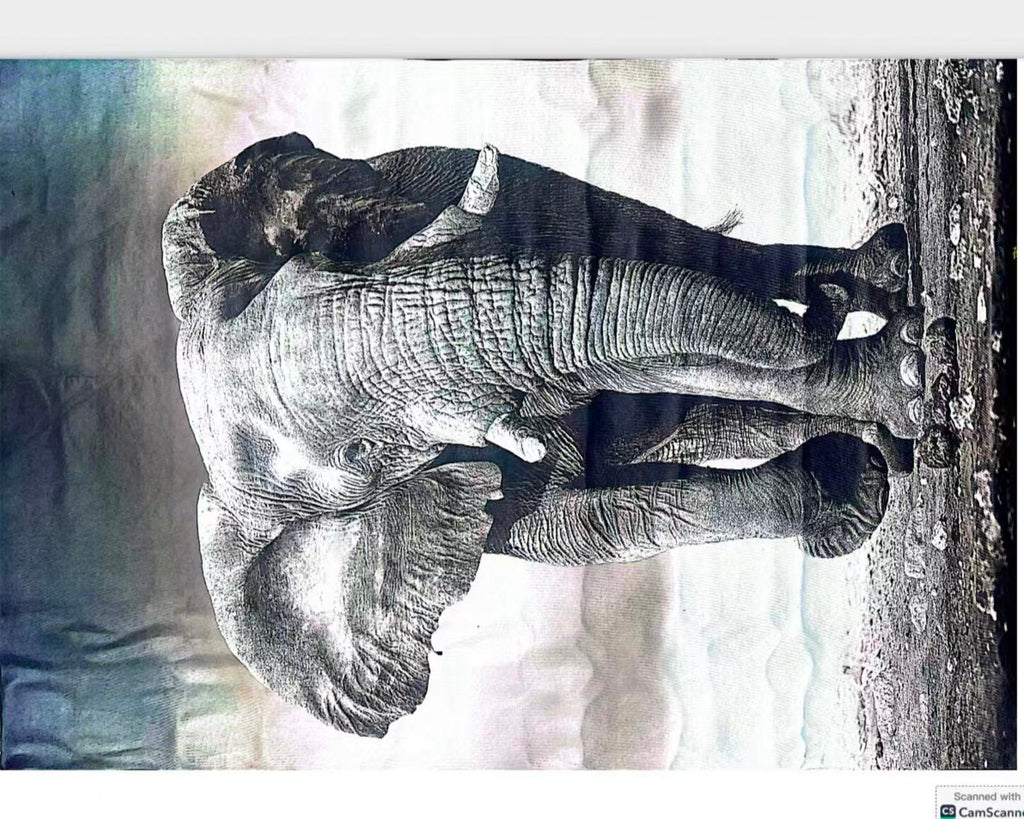 Eelephant design 3D Carpet - 1.5x2M